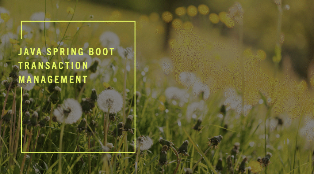spring transaction management